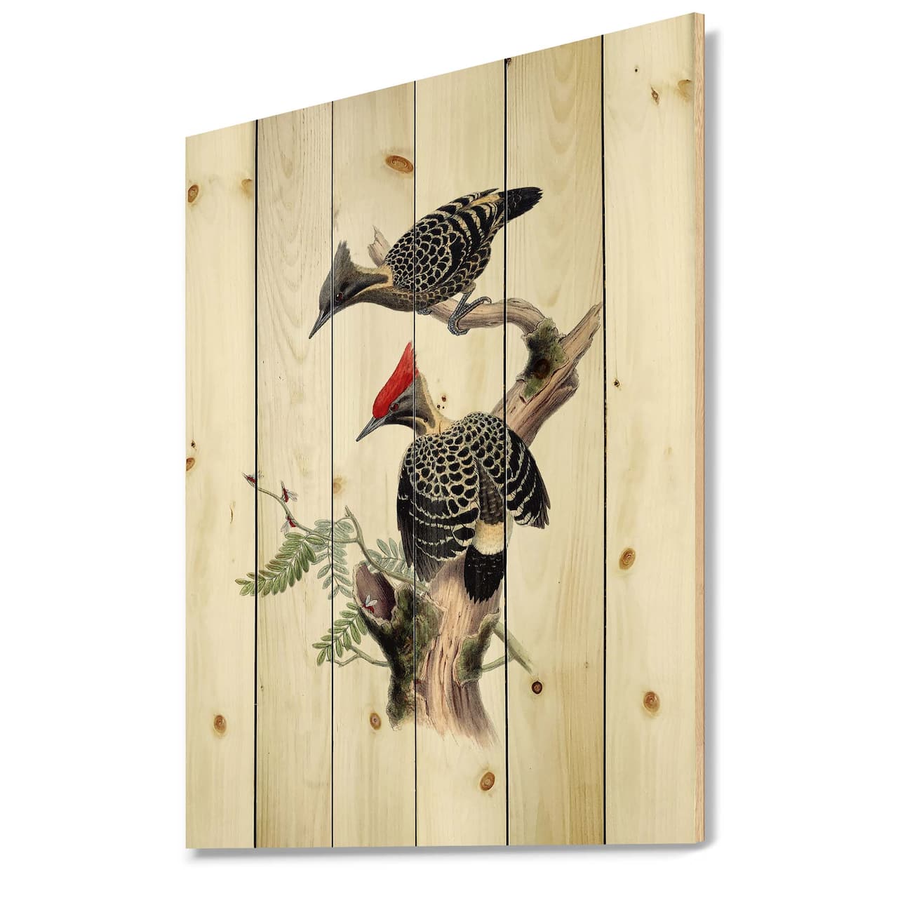 Designart - Vintage Birds In The Wild VI - Traditional Print on Natural Pine Wood
